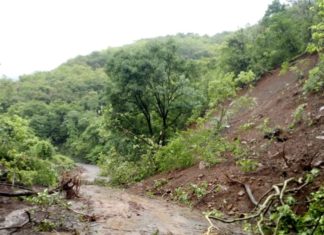 भुईबावडा घाटात दरड कोसळली, वाहतूक विस्कळीत.