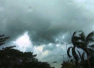 मान्सून केरळात धडकला!