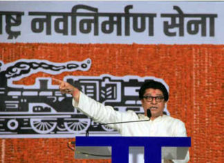 मनसे विधानसभा निवडणूक लढविणार?