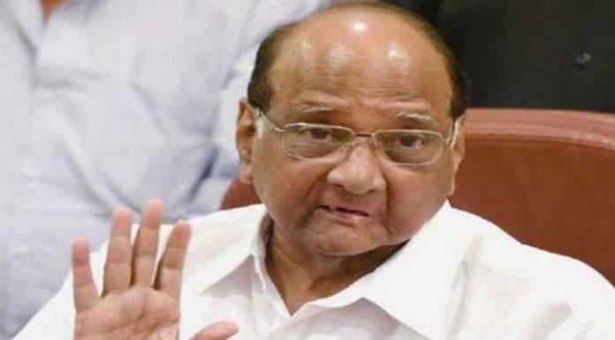 अजित पवारांच्या राजीनाम्यानंतर, शरद पवारांची पुण्यात पत्रकार परिषद; राजीनाम्याचे कारण कळले…