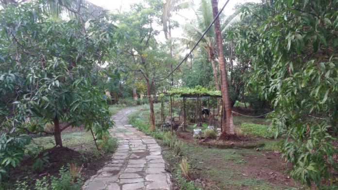 IMG-20191102-WA0079