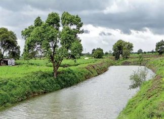 जलयुक्त शिवार योजनेला ठाकरे सरकारचा ब्रेक, निधी थांबविला