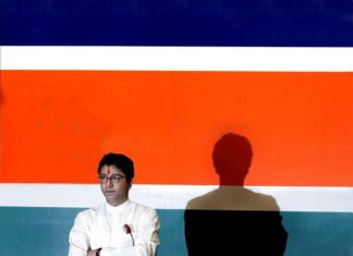 मनसे खेळणार नवी खेळी?