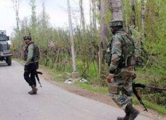 दहशतवादी हल्ला, CRPF चे दोन जवान शहीद