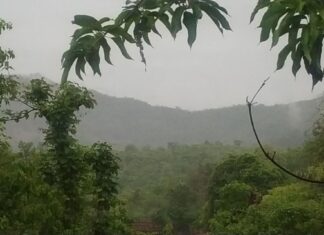 मान्सूनपूर्व पावसाने कोल्हापूरला झोडपले; झाड कोसळून एक ठार. कोकणातही पाऊस.