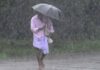 8 जून मान्सून महाराष्ट्रात,भारतीय हवामान खात्याचा अंदाज