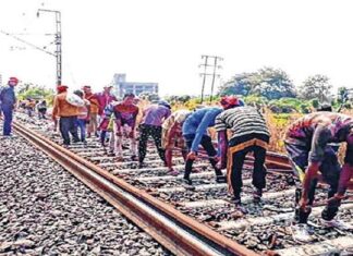 Harbour Line Mega Block on 22.11.2020