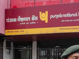 Job: 12 वी उत्तीर्णांना पंजाब नॅशनल बँकेत नोकरीची उत्तम संधी