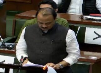 महाराष्ट्र राज्य अर्थसंकल्प: अजित पवारांनी अर्थसंकल्पात केल्या महत्त्वाच्या घोषणा