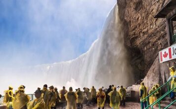 मला भावलेला शांतताप्रिय कॅनडा : डॉ भास्कर धाटावकर यांच्या नजरेतून भाग – 18 (कॅनडातील बाजूने नायगारा फाॅल्सला पुन्हा भेट)