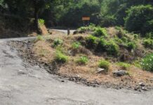 रायगड किल्ल्यावर जाण्यासाठी आता मार्ग होणार सुकर, रस्ता रुंदीकरण काम अंतिम टप्प्यात